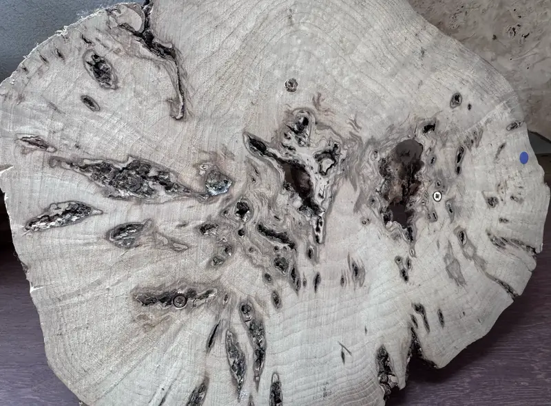 Speciale houtsoorten