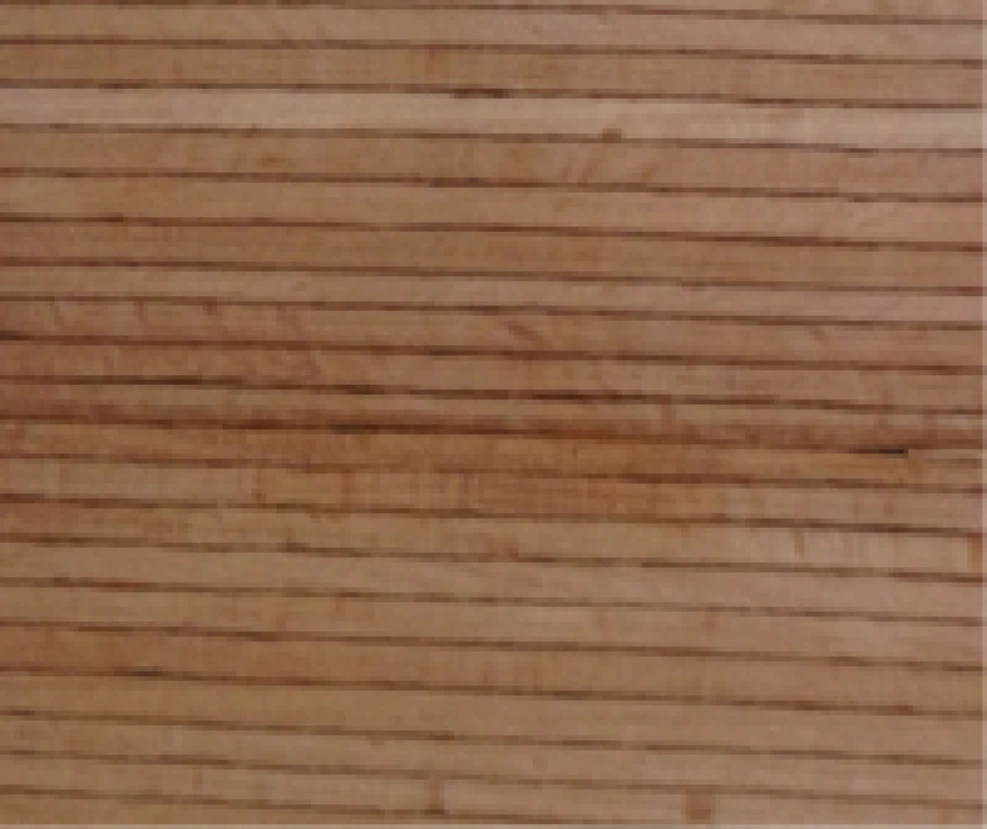 Multiligne Gestoomde Beuk