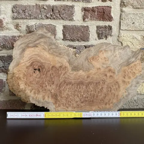 viWm8DkoBANF