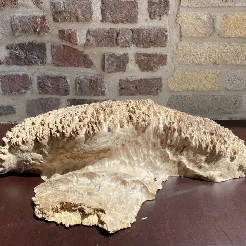 ApioIOJMhYL5