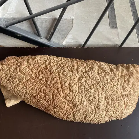 oeMJOmTnRCPw