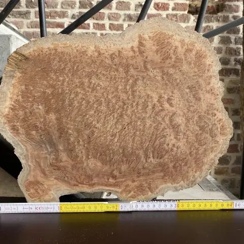 _TEbPGvL4yYd