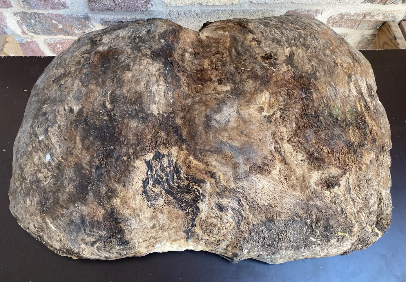 BEUK SCHIJF 80 X 45 - 8.1 KG